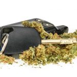 Cannabis and auto insurance