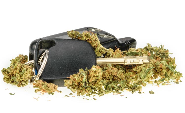 Cannabis and auto insurance